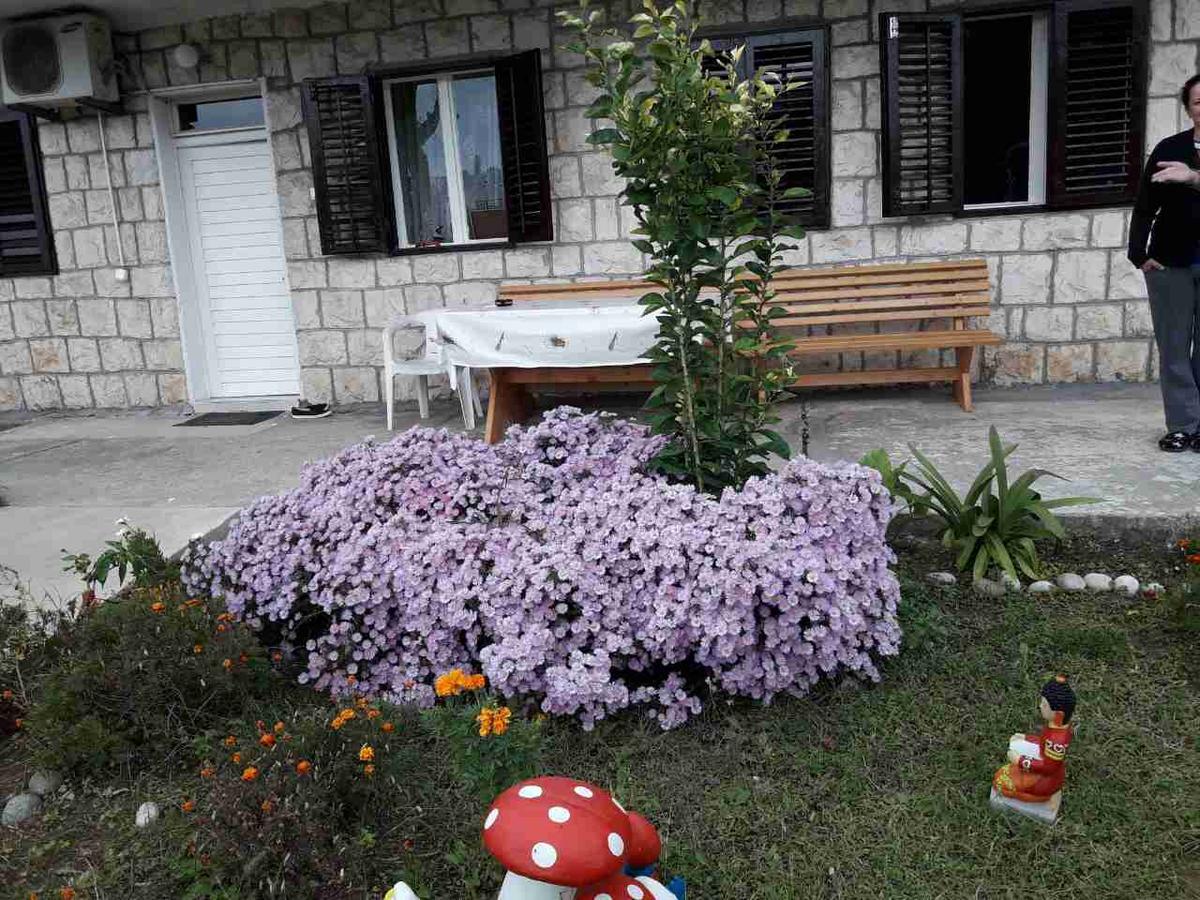 Apartment Dragone أولتْسي المظهر الخارجي الصورة